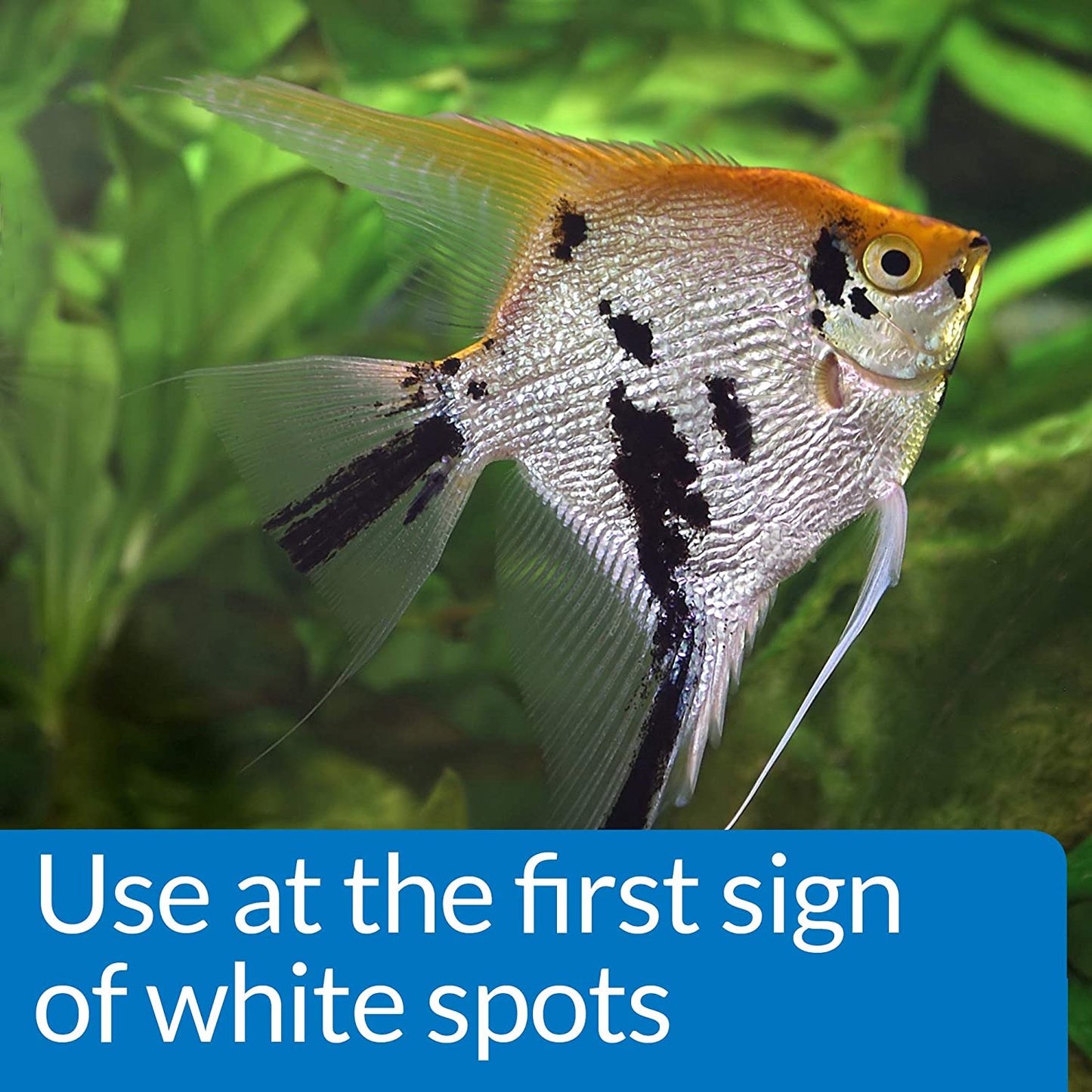 API Super Ick Cure Treats White Spot Disease [Aquarium Supplies] 4 oz