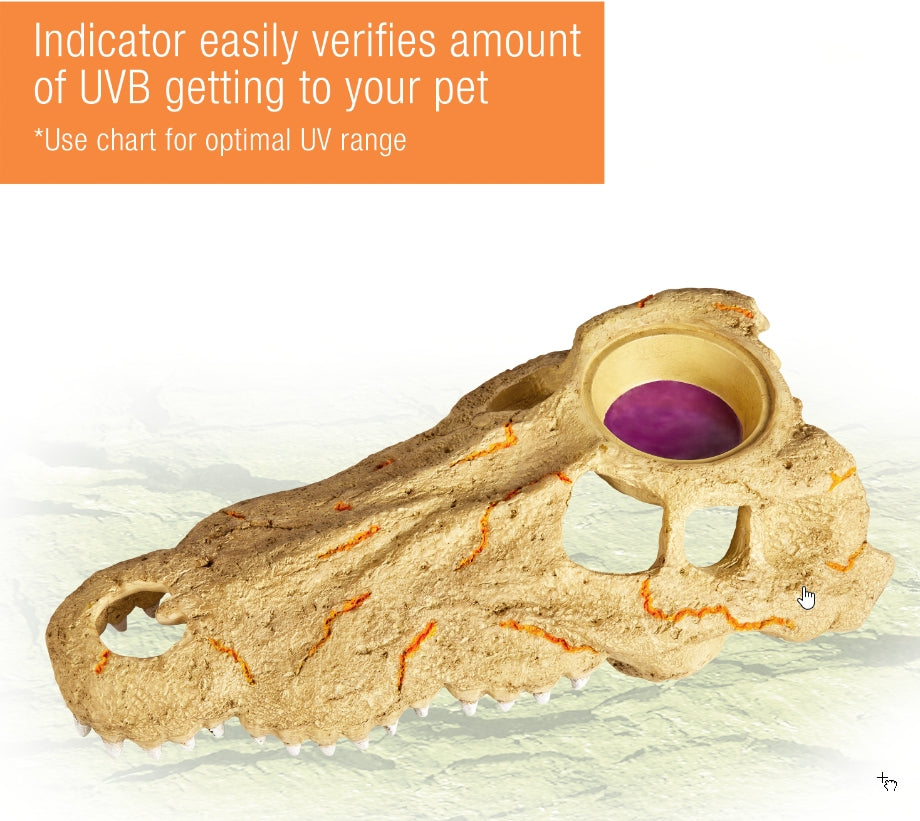 Zilla Rapid Sense Decor Crocodile Skull [Reptile Supplies] Large - 1 count