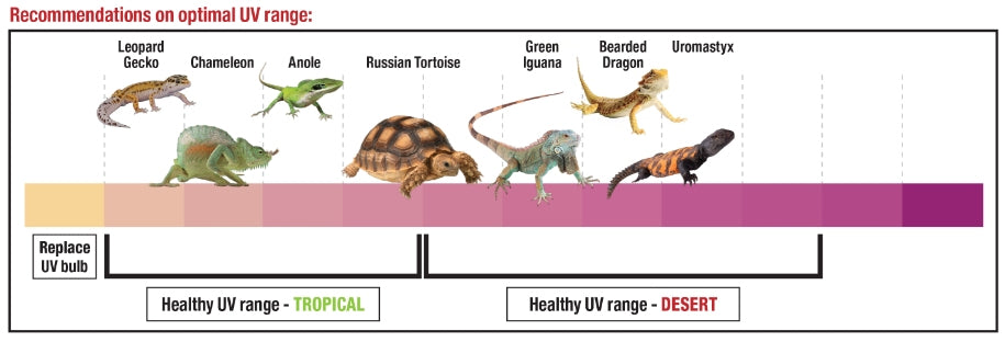 Zilla Rapid Sense Decor Poplar Log [Reptile Supplies] Large - 1 count