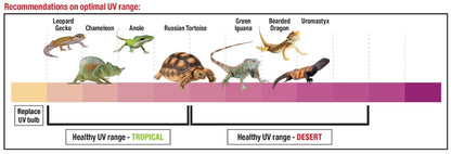 Zilla Rapid Sense Decor Poplar Log [Reptile Supplies] Large - 1 count