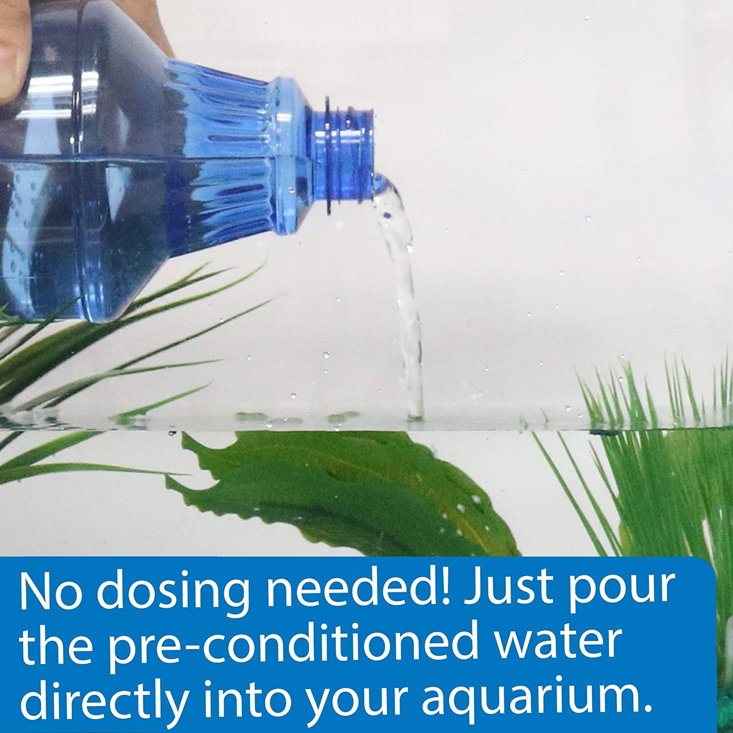 API Betta Water Add Fish Instantly [Aquarium Supplies for Aquarium] 31 oz