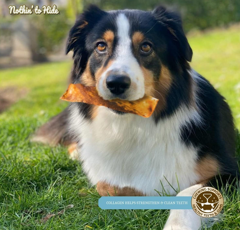 Fieldcrest Farms Nothin to Hide Beef Flip Chips Dog Chews [Dog Supplies] 8 count