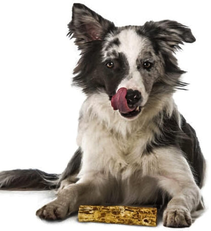 Fieldcrest Farms Nothin to Hide Peanut Butter Rolls Small [Dog Supplies] 2 count