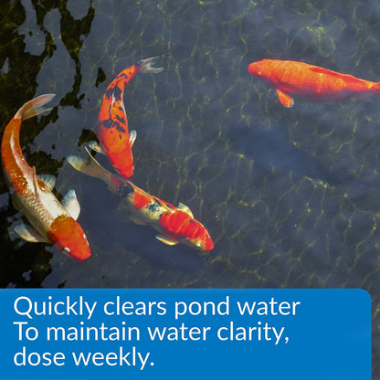 API Pond Accu-Clear Quickly Clears Pond Water [Pond Supplies for Pond] 32 oz