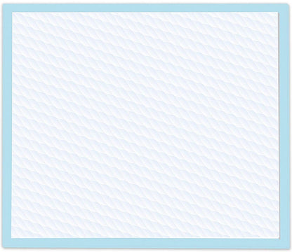 Four Paws Original Wee Wee Pads Floor Armor Leak-Proof System for All Dogs and Puppies [Dog Supplies for Dog] 200 count (2 x 100 ct box)