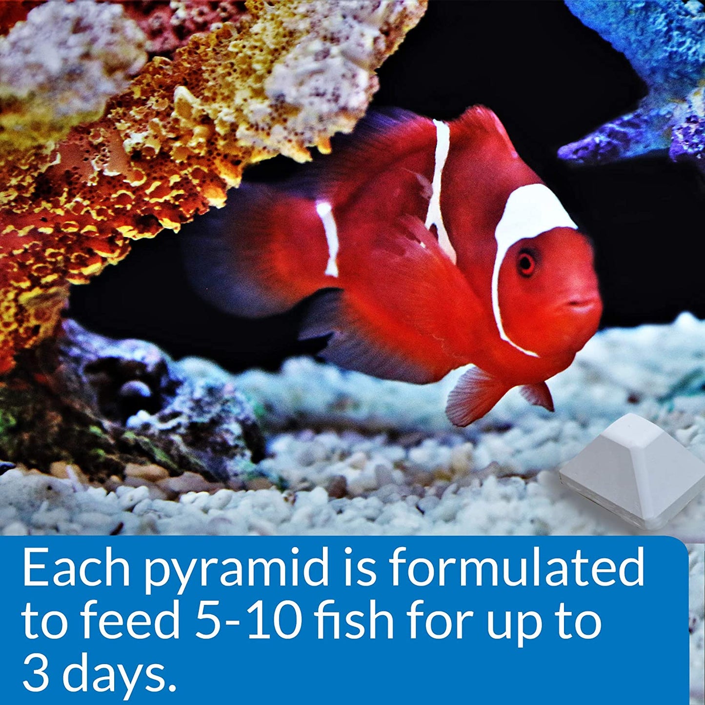 API Weekend Pyramid Fish Feeder up to 3 Days [Aquarium Supplies] 4 count
