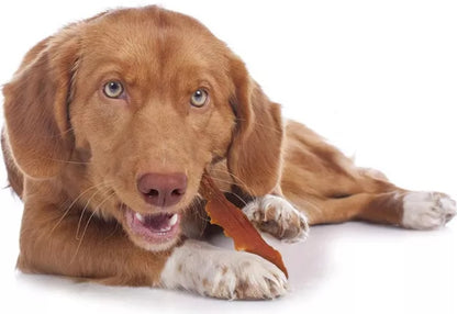 Cadet Gourmet Duck Breast Treats for Dogs [Dog Supplies] 14 oz