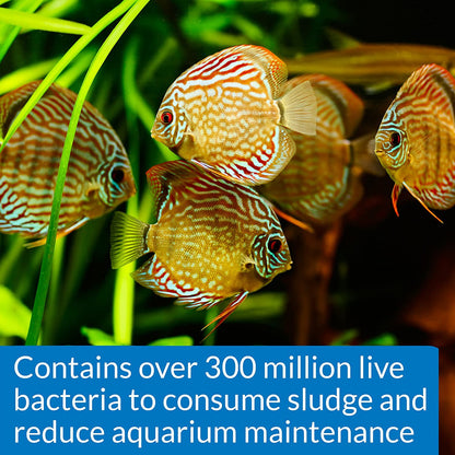 API Stress Zyme Plus Bio Filtration Booster [Aquarium Supplies] 32 oz