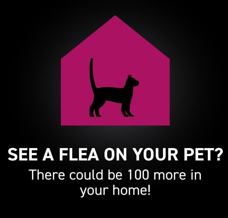 NextStar Flea and Tick Topical Treatment for Cats [Cat Supplies for Dog] 3 count