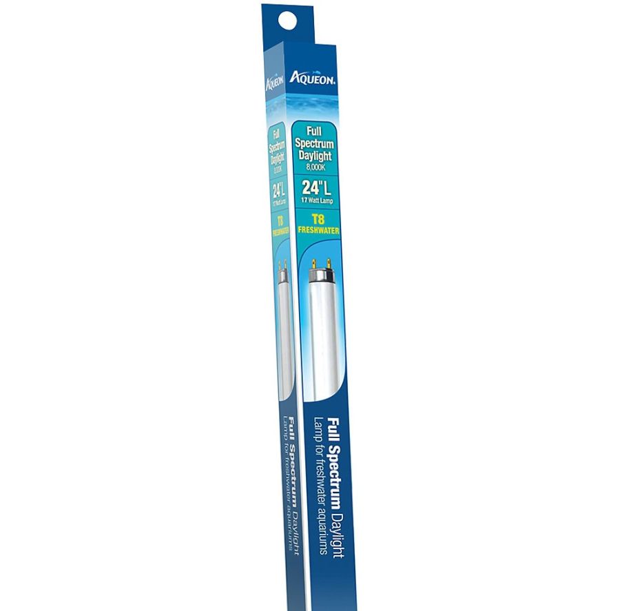 Aqueon T8 Daylight Fluorescent Lamp [Bulbs Fluorescent] 24" - 17 watt