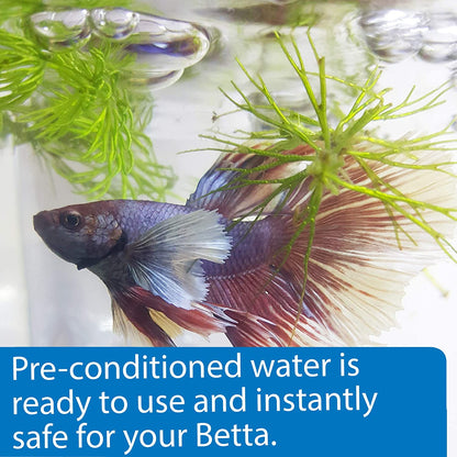 API Betta Water Add Fish Instantly [Aquarium Supplies for Aquarium] 31 oz