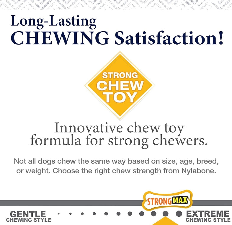 Nylabone Gourmet Style Wishbone Dog Chew Toy Chicken Flavor Small/Regular [Dog Supplies for Dog] 1 count