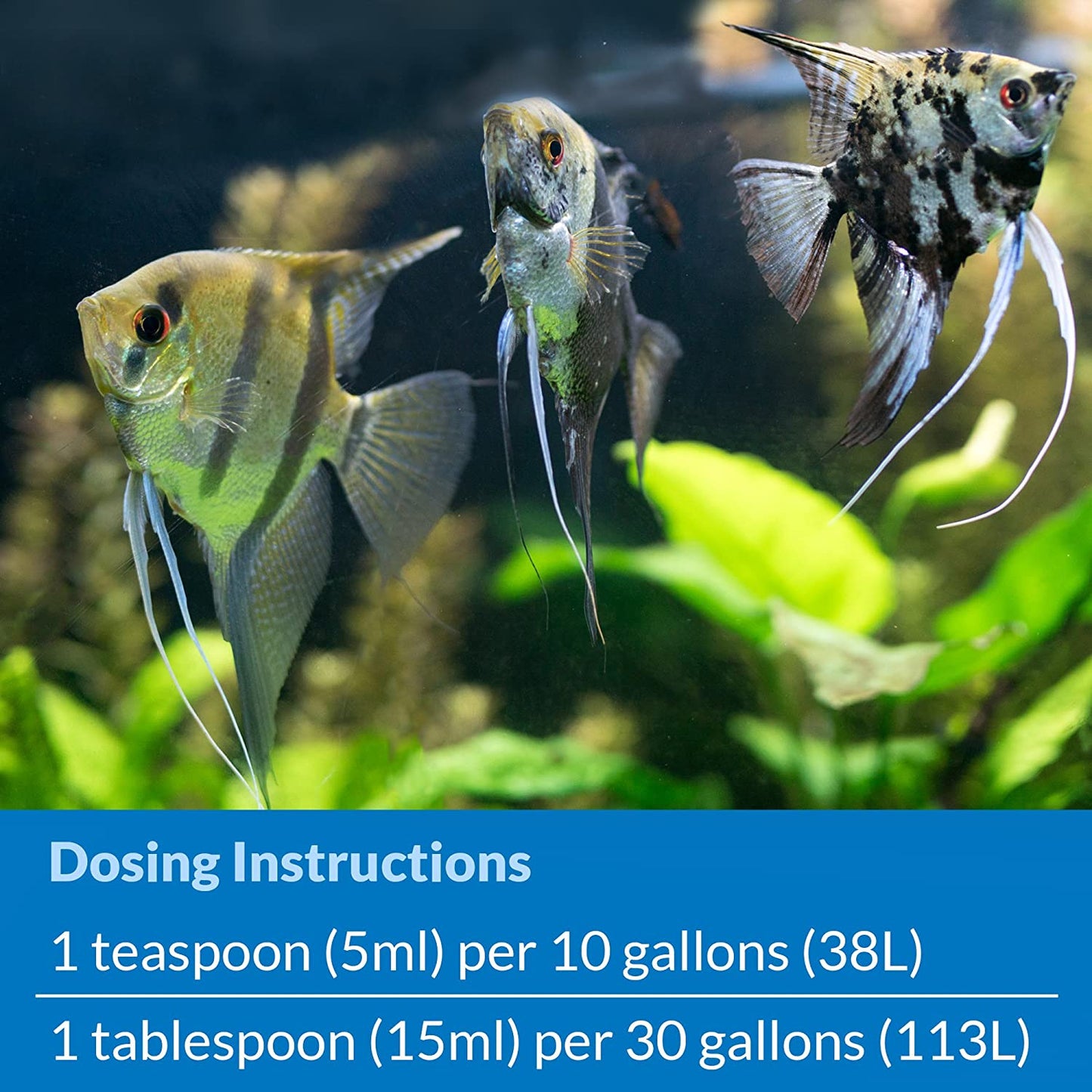 API Stress Zyme Plus Bio Filtration Booster [Aquarium Supplies] 64 oz