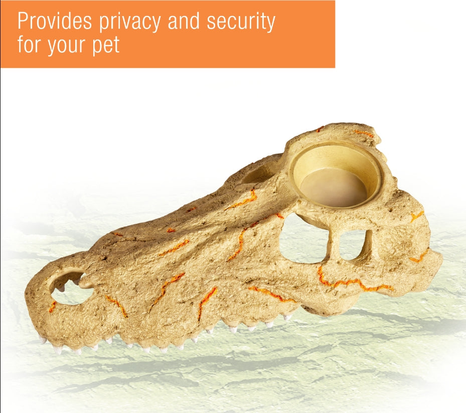Zilla Rapid Sense Decor Crocodile Skull [Reptile Supplies] Large - 1 count